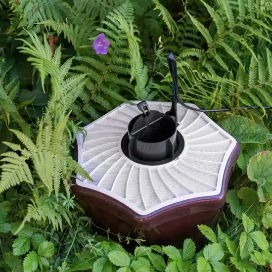 מלכודת המקורית ליתושי הטיגריס האסייתי